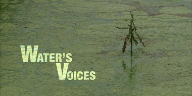 Water's Voices