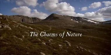 The Charms of Nature