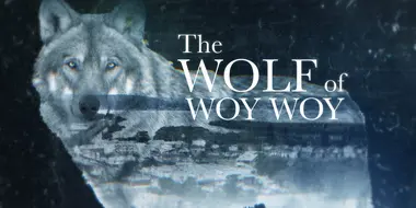 The Wolf of Woy Woy