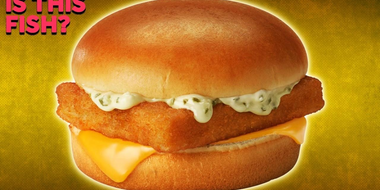 Is the Filet-O-Fish Actually Fish?