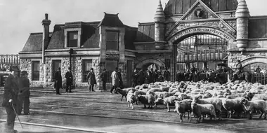 The Union Stockyards