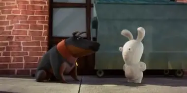 Sticky Rabbid