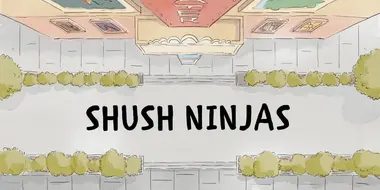 Shush Ninjas