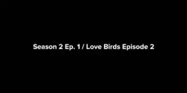 Love Birds Episode 2