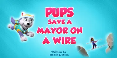 Pups Save a Mayor on a Wire
