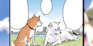 In the Forest of Trees (part 1) / In the Forest of Trees (part 2) / Shirayuki, the White Shiba-Inu