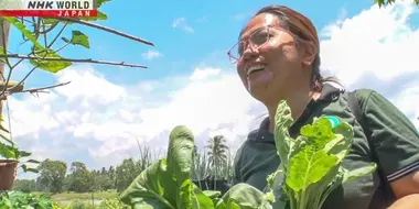 Making Food Waste Useful: The Philippines