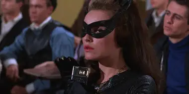 Catwoman Goes to College