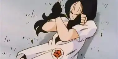 Rescue Videl