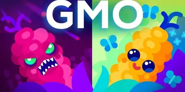 Are GMOs Good or Bad? Genetic Engineering & Our Food