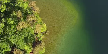 The Stechlin - In the kingdom of clear lakes