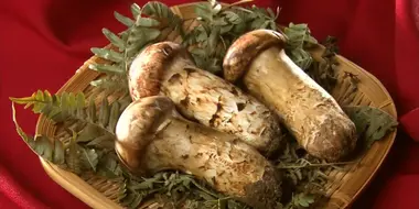 Matsutake