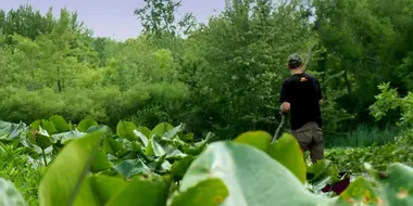 Swamp Stew: Michigan Bowfishing