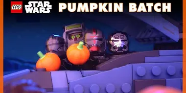 The Pumpkin Batch