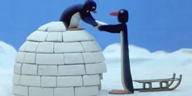 Pingu Builds an Igloo