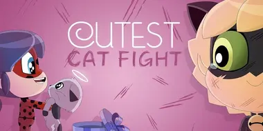 Cutest Cat Fight