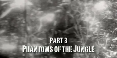 Part 3: Phantoms of the Jungle