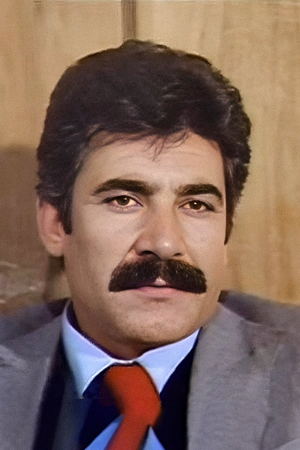 Hikmet Taşdemir