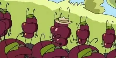 The Ants