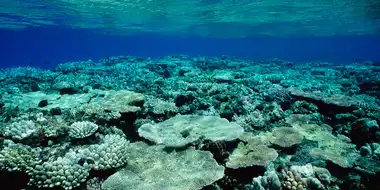 Great Barrier Reef