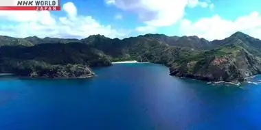 A Miraculous Paradise of Life: Ogasawara Islands