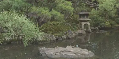 Kyoto Gardens: Aesthetic Spaces Mirror Nature