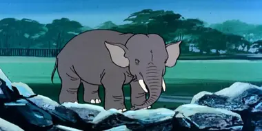 One of the Elephants is Missing