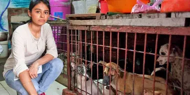 Vietnam's Dog-Snatchers