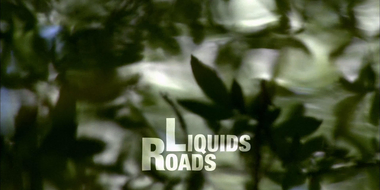 Liquid Roads