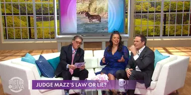 Judge Mazz's Law or Lie & Dr. Lori's Alaska Adventure