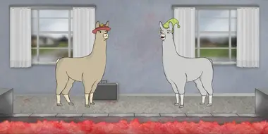 Llamas with Hats 6