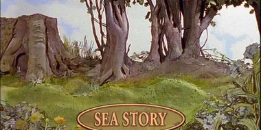 The Sea Story