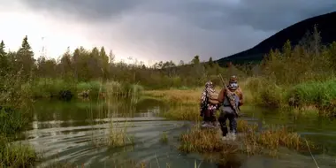 Bull By Boat: British Columbia Moose