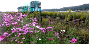 Tenryu Hamanako Railroad: Working with the Community to Revitalize the Railway