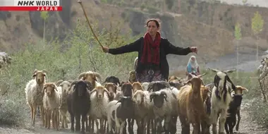 Herding Above the Clouds: Pakistan