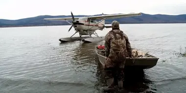 The Water's Edge: Waterfowl in Alaska