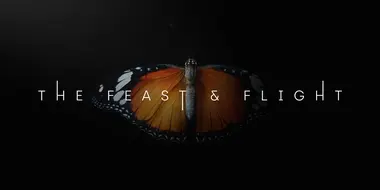 The Feast and Flight