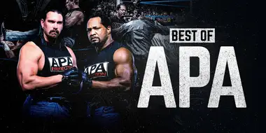 The Best of WWE: Best of the APA