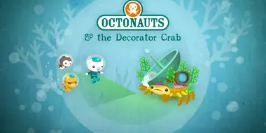 The Decorator Crab