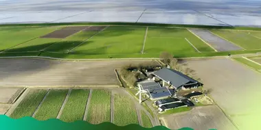 Onder de Waddenzee ligt een pot met goud verstopt