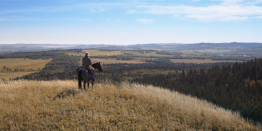 You Can Lead a Horse to Water