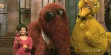 Big Bird and Snuffy Talent Show