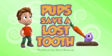 Pups Save a Lost Tooth