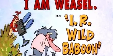 I.R. Wild Baboon