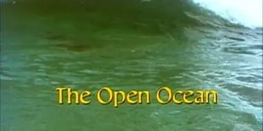 The Open Ocean