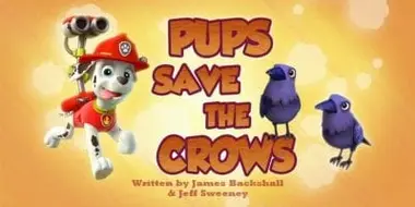 Pups Save the Crows