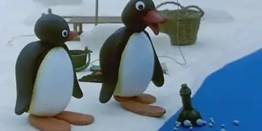 Pingu And The Message In A Bottle