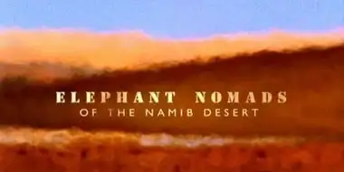 Elephant Nomads of The Namib Desert