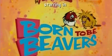 Born to Be Beavers