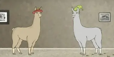 Llamas with Hats 4